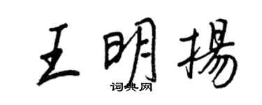 王正良王明扬行书个性签名怎么写
