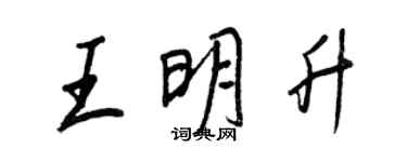 王正良王明升行书个性签名怎么写
