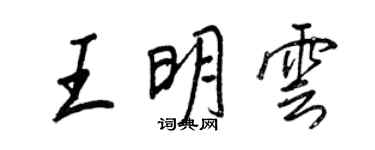 王正良王明云行书个性签名怎么写