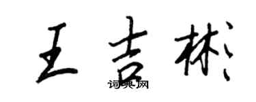 王正良王吉彬行书个性签名怎么写