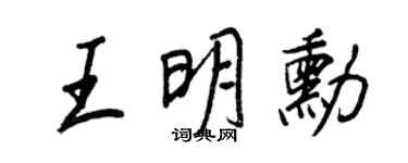 王正良王明勋行书个性签名怎么写
