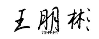 王正良王朋彬行书个性签名怎么写