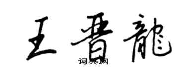 王正良王晋龙行书个性签名怎么写