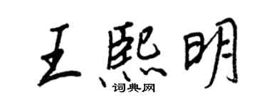 王正良王熙明行书个性签名怎么写