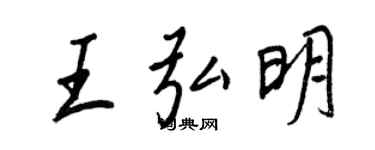 王正良王弘明行书个性签名怎么写