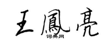 王正良王凤亮行书个性签名怎么写