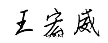 王正良王宏威行书个性签名怎么写