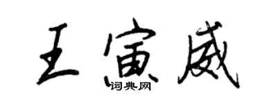 王正良王寅威行书个性签名怎么写