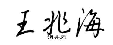 王正良王兆海行书个性签名怎么写