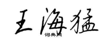 王正良王海猛行书个性签名怎么写