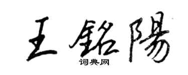王正良王铭阳行书个性签名怎么写