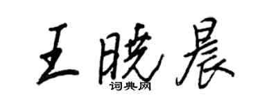 王正良王晓晨行书个性签名怎么写