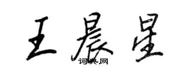 王正良王晨星行书个性签名怎么写