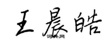 王正良王晨皓行书个性签名怎么写