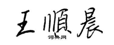 王正良王顺晨行书个性签名怎么写