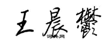 王正良王晨郁行书个性签名怎么写