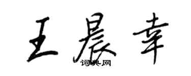 王正良王晨幸行书个性签名怎么写