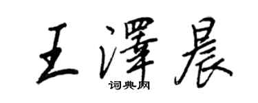 王正良王泽晨行书个性签名怎么写