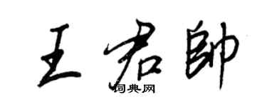 王正良王君帅行书个性签名怎么写