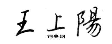 王正良王上阳行书个性签名怎么写