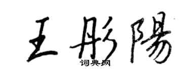 王正良王彤阳行书个性签名怎么写
