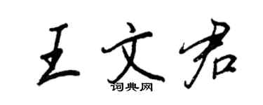 王正良王文君行书个性签名怎么写