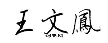 王正良王文凤行书个性签名怎么写