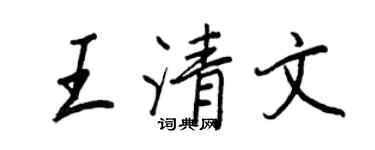 王正良王清文行书个性签名怎么写