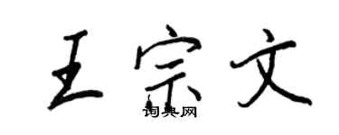 王正良王宗文行书个性签名怎么写