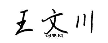王正良王文川行书个性签名怎么写