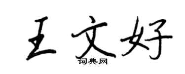 王正良王文好行书个性签名怎么写