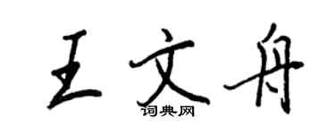 王正良王文舟行书个性签名怎么写