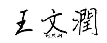 王正良王文润行书个性签名怎么写