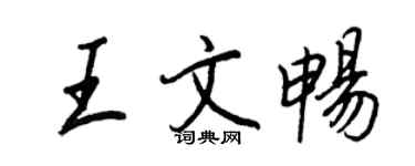 王正良王文畅行书个性签名怎么写