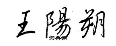 王正良王阳朔行书个性签名怎么写