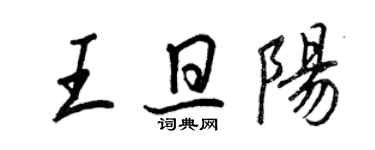王正良王旦阳行书个性签名怎么写