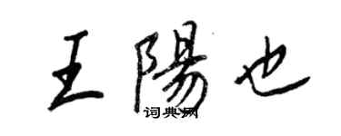 王正良王阳也行书个性签名怎么写