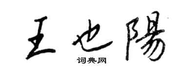 王正良王也阳行书个性签名怎么写