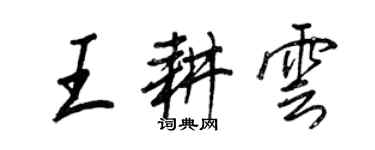 王正良王耕云行书个性签名怎么写