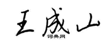 王正良王成山行书个性签名怎么写