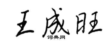 王正良王成旺行书个性签名怎么写