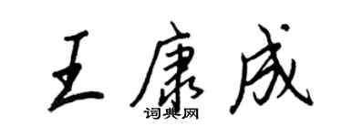 王正良王康成行书个性签名怎么写