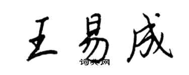 王正良王易成行书个性签名怎么写
