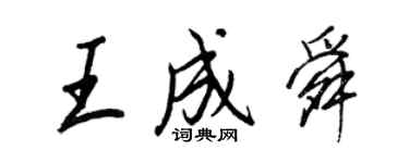 王正良王成舜行书个性签名怎么写