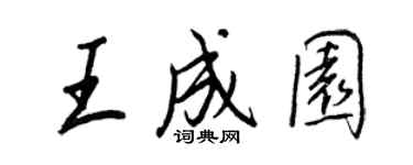 王正良王成园行书个性签名怎么写