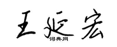 王正良王延宏行书个性签名怎么写