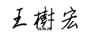 王正良王树宏行书个性签名怎么写