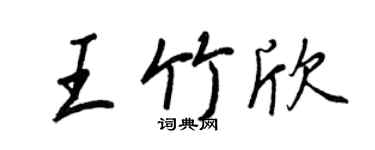 王正良王竹欣行书个性签名怎么写