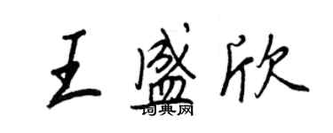 王正良王盛欣行书个性签名怎么写
