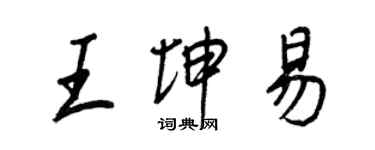 王正良王坤易行书个性签名怎么写